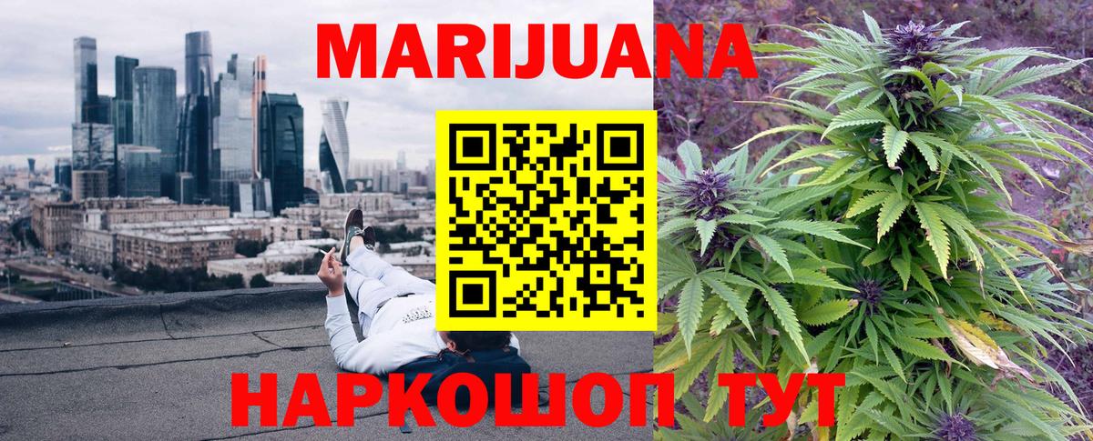 Канабис Губкин